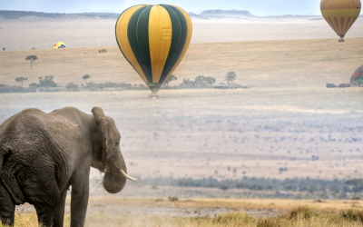 Not-to-Miss Destinations When Traveling In Kenya