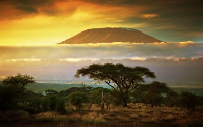 Tips for Planning a Safari in Tanzania