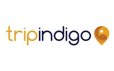 Everything You Need to Know About Tripindigo
