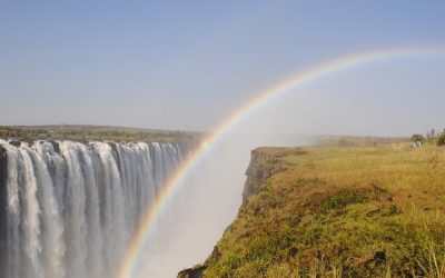 Six Reasons You Should Plan a Trip to Zimbabwe